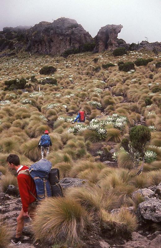 WT 1400 222-11 Kenya.jpg